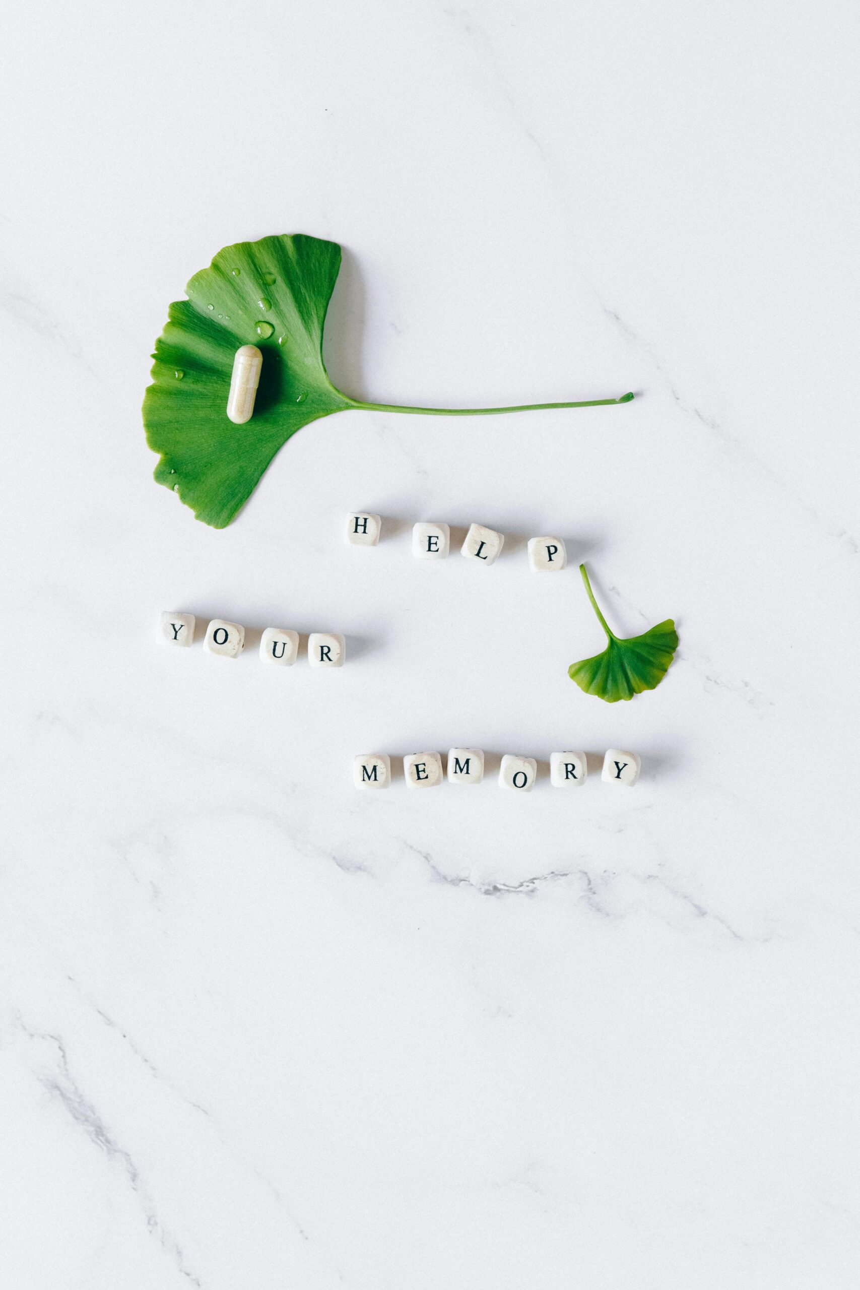 Ginkgo leaf and capsule on marble surface spelling Help Your Memory with blocks.